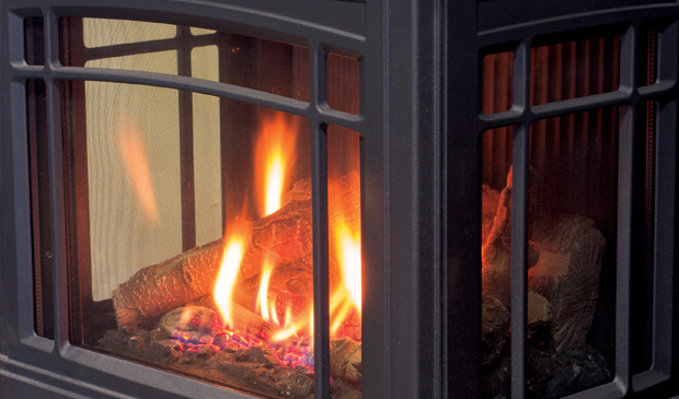 Enviro Berkeley Gas Burning Stove Adams Stove Enviro Berkeley Gas Burning Stoves Berkshires 2