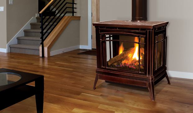 Enviro Berkeley Gas Burning Stove Adams Stove Enviro Berkeley Gas Burning Stoves Berkshires 3