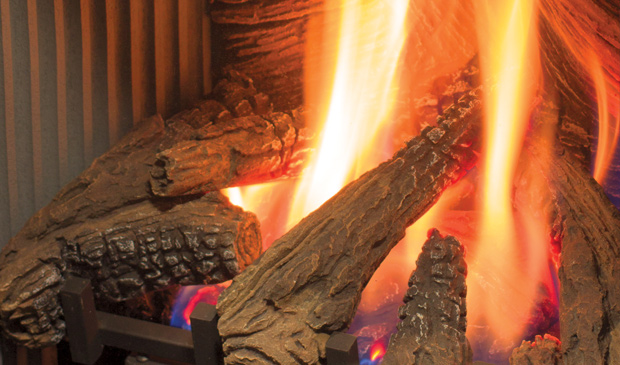 Enviro S20 Gas Burning Stove Adams Stove Enviro S20 Gas Burning Stoves Berkshires 2